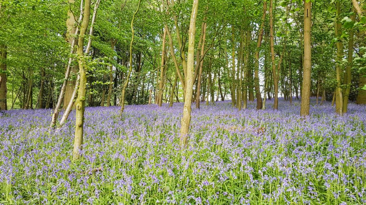 High Oaks Grange - Glamping Hotell Pickering Eksteriør bilde
